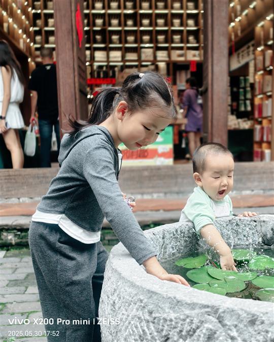 鱼戏莲叶间
