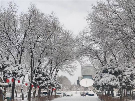 宁夏遭遇1961年来最强暴雪，16站日降雪量破历史极值