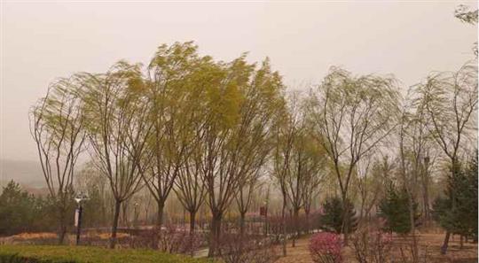 11月多大风天气，蓝黄橙预警齐发