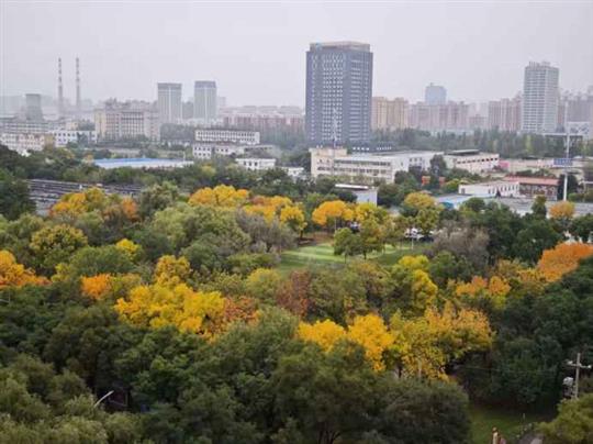 季节“变形记”被拉长的夏与压缩的秋