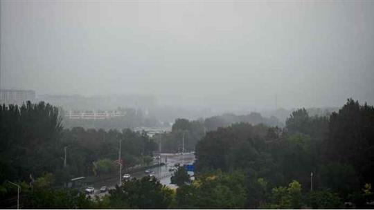 秋收遭遇强连阴雨，多种作物品质及收获受影响