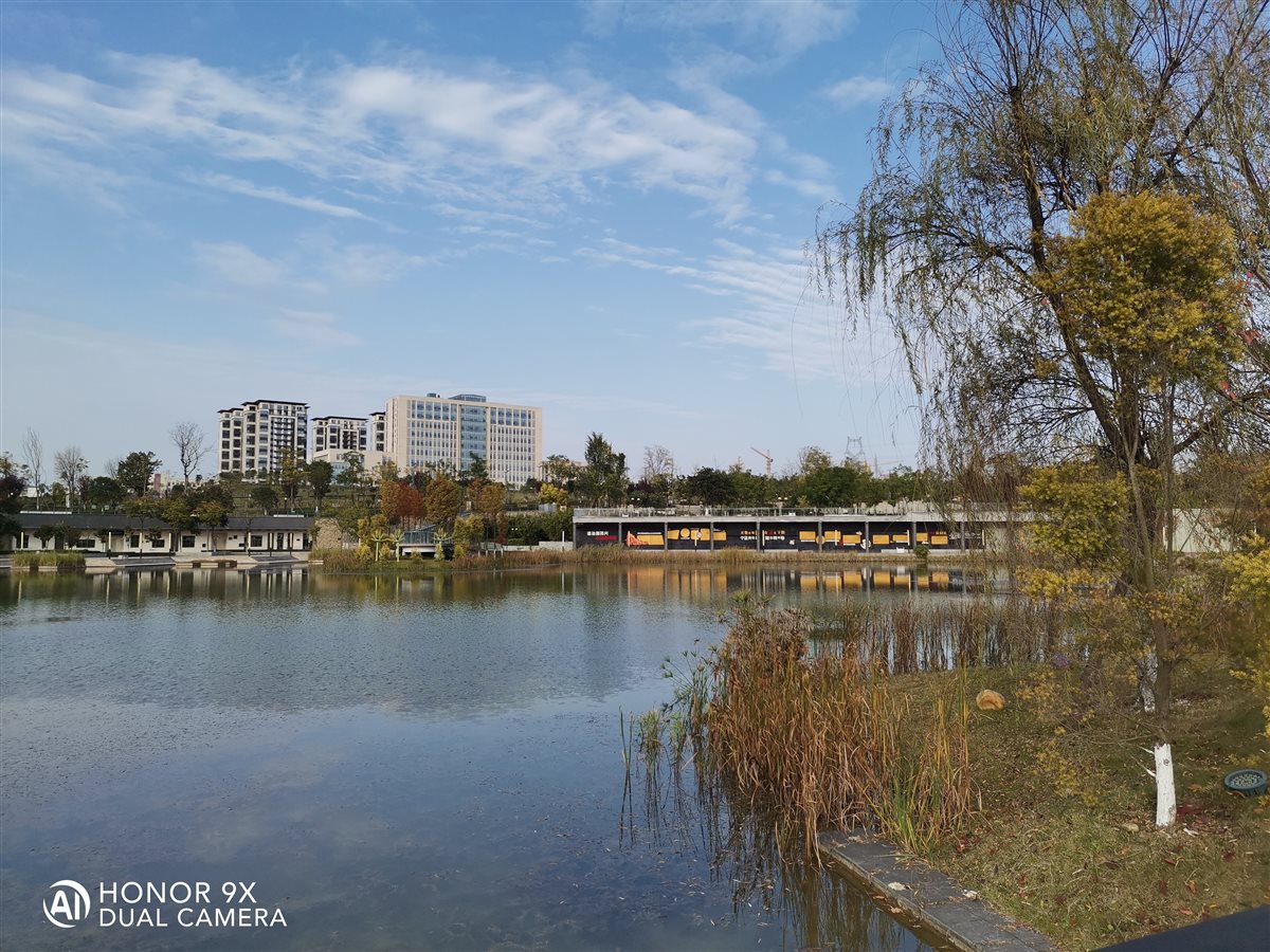 座落在游仙政务中心旁的东湖公园小巧,幽静,天蓝,水清.