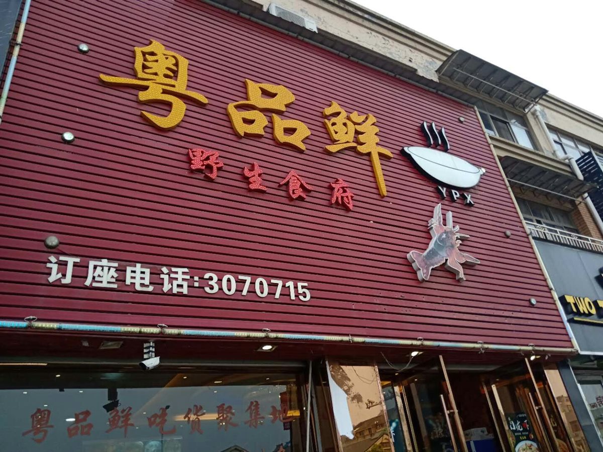 粤品鲜野生食府 - 2019浙江招牌菜争霸赛(湖州赛区)